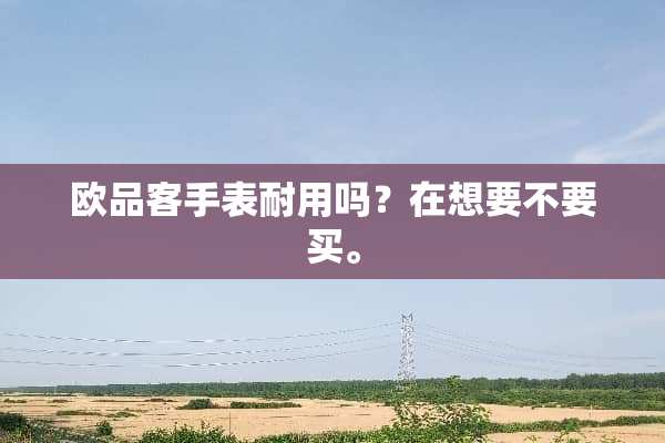 欧品客手表耐用吗？在想要不要买。