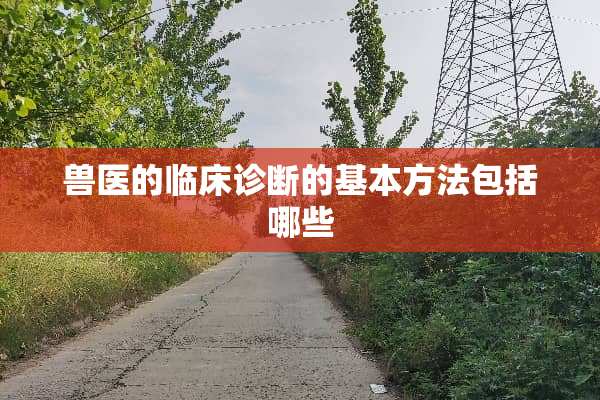 兽医的临床诊断的基本方法包括哪些