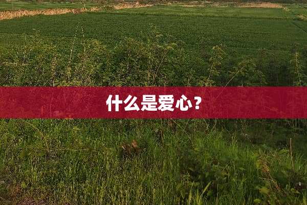 什么是爱心？