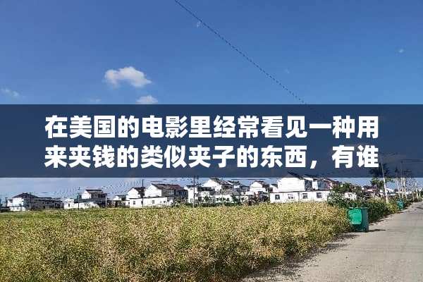 在美国的电影里经常看见一种用来夹钱的类似夹子的东西，有谁知道是什么？