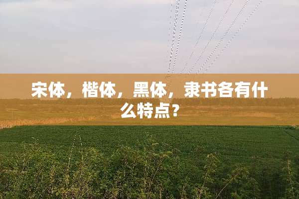 宋体，楷体，黑体，隶书各有什么特点？