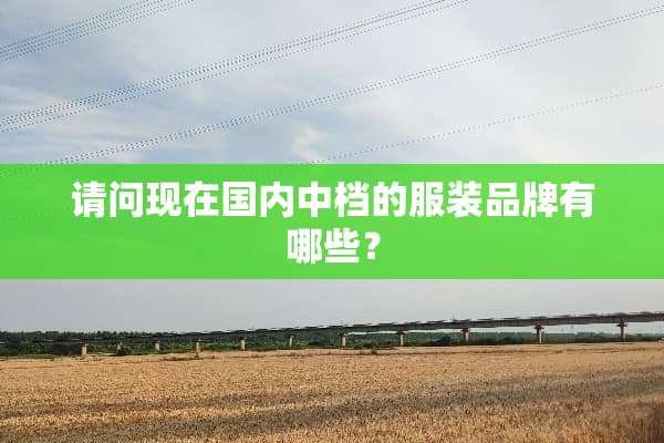 请问现在国内中档的服装品牌有哪些？