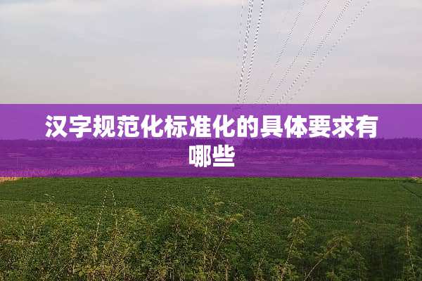 汉字规范化标准化的具体要求有哪些