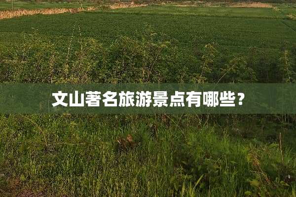 文山著名旅游景点有哪些？