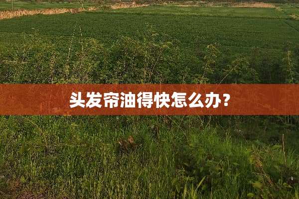 头发帘油得快怎么办？