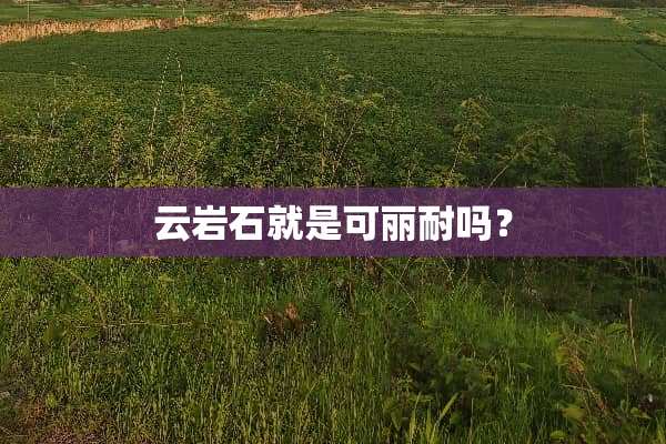 云**就是可丽耐吗？