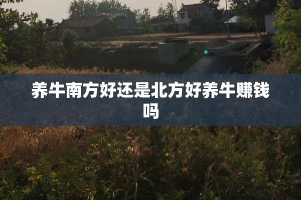 养牛南方好还是北方好养牛赚钱吗