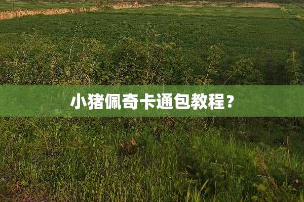 小猪佩奇卡通包教程？