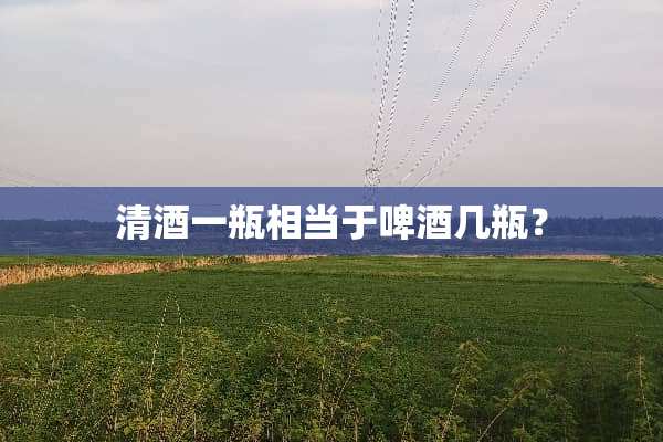 清酒一瓶相当于啤酒几瓶？