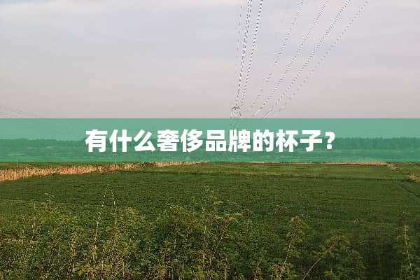 有什么奢侈品牌的杯子？