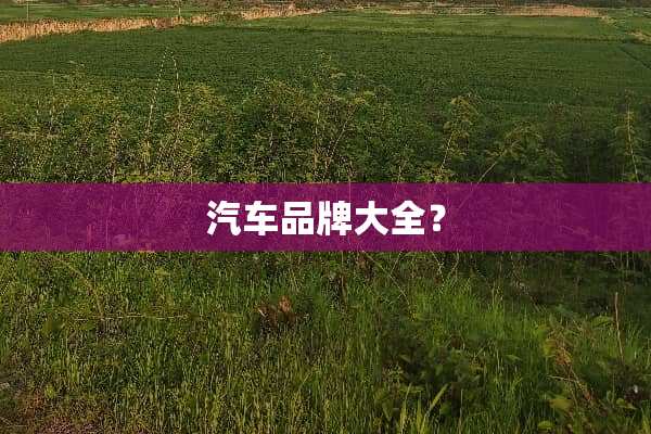 汽车品牌大全？