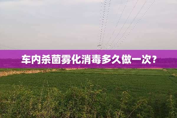 车内杀菌雾化消毒多久做一次？