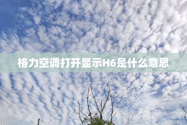 格力空调打开显示H6是什么意思