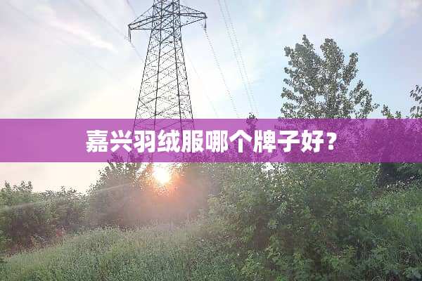 嘉兴羽绒服哪个牌子好？
