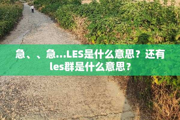 急、、急…LES是什么意思？还有les群是什么意思？