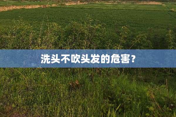 洗头不吹头发的危害？