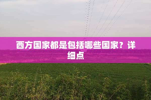 西方国家都是包括哪些国家？详细点