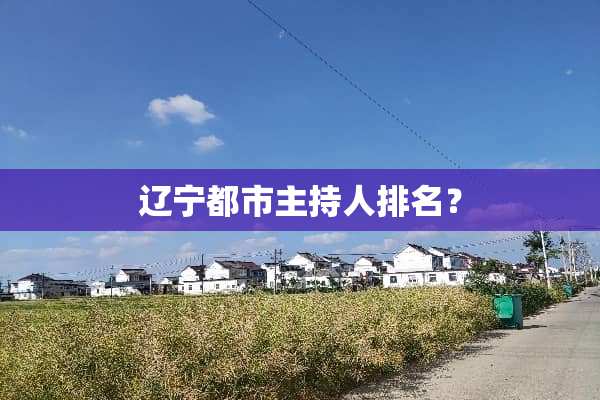 辽宁都市主持人排名？