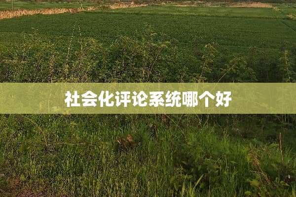 社会化评论系统哪个好