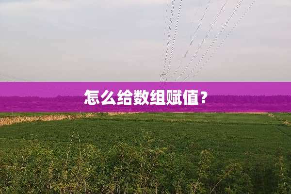 怎么给数组赋值？