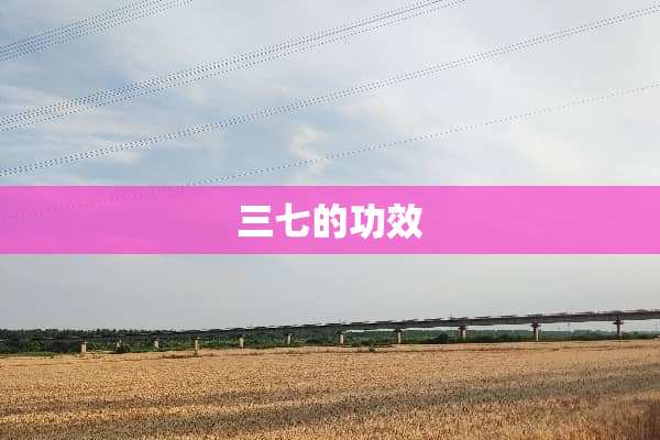三七的功效
