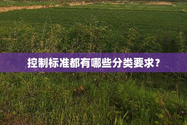 控制标准都有哪些分类要求？