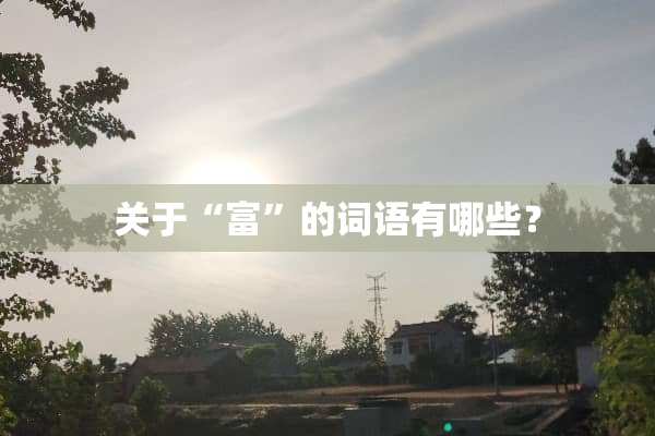 关于“富”的词语有哪些？