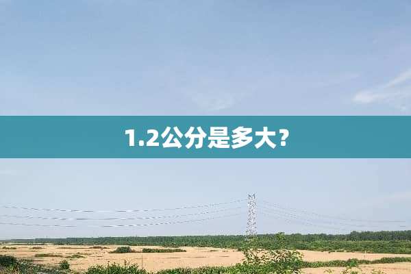 1.2公分是多大？
