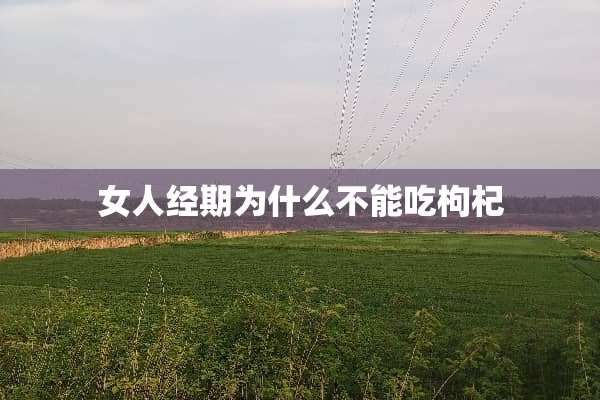 女人经期为什么不能吃枸杞