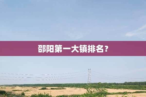 邵阳第一大镇排名？