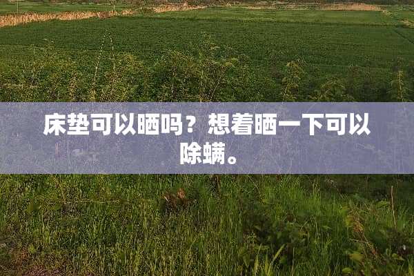床垫可以晒吗？想着晒一下可以除螨。