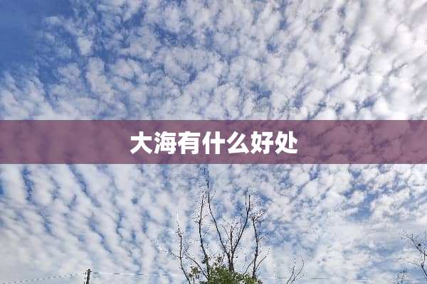 大海有什么好处