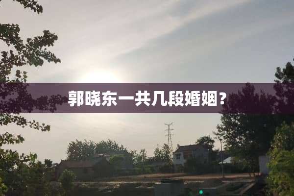 郭晓东一共几段婚姻？