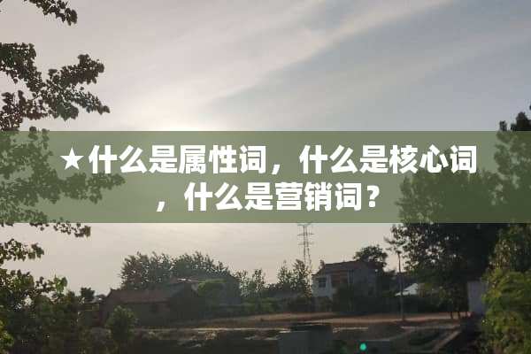 ★什么是属性词，什么是核心词，什么是营销词？