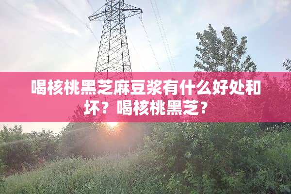 喝核桃黑芝麻豆浆有什么好处和坏？喝核桃黑芝？