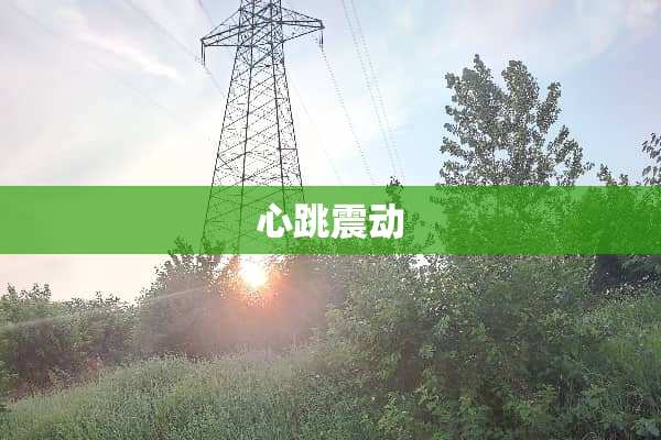 心跳震动