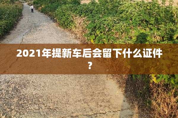 2021年提新车后会留下什么**？