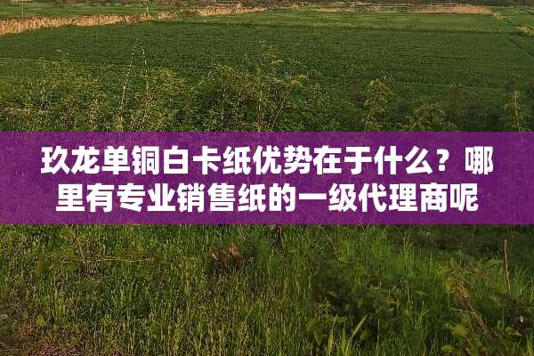 玖龙单铜白卡纸优势在于什么？哪里有专业销售纸的一级代理商呢？