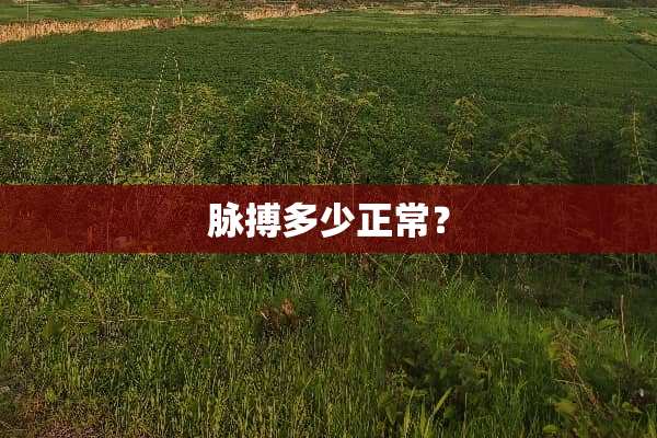 脉搏多少正常？