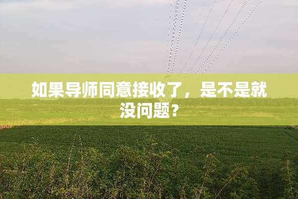 如果导师同意接收了，是不是就没问题？