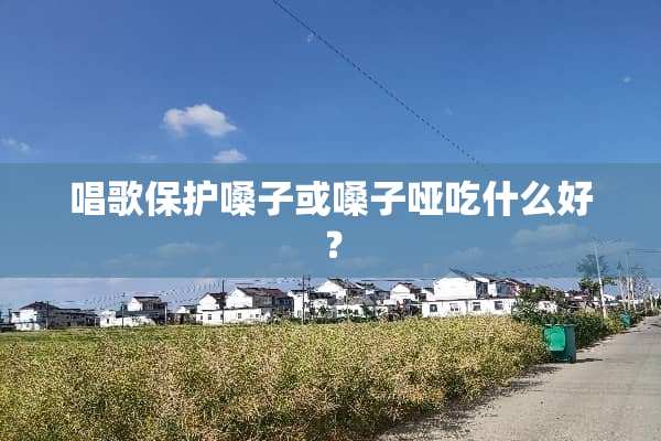 唱歌保护嗓子或嗓子哑吃什么好？