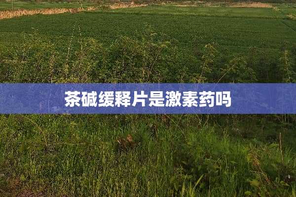 茶碱缓释片是激素药吗