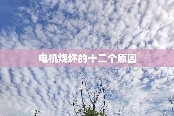 电机烧坏的十二个原因