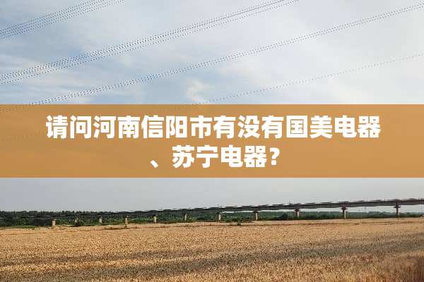 请问河南信阳市有没有国美电器、苏宁电器？