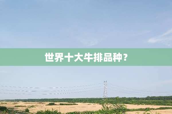 世界十大牛排品种？
