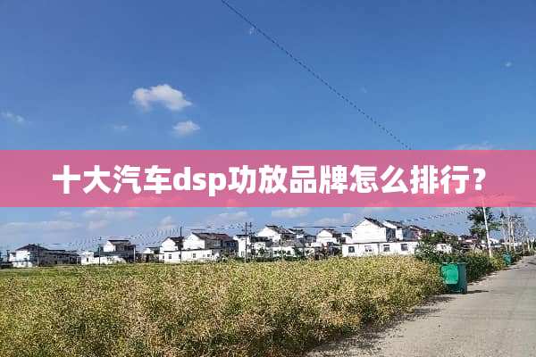 十大汽车dsp功放品牌怎么排行？
