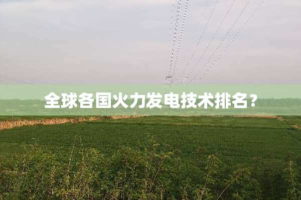 全球各国火力发电技术排名？