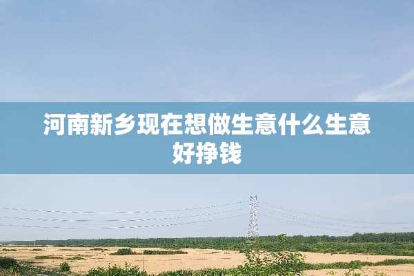 河南新乡现在想做生意什么生意好挣钱