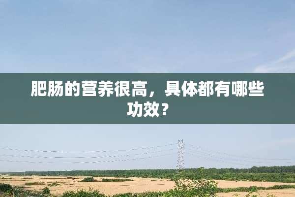 肥肠的营养很高，具体都有哪些功效？