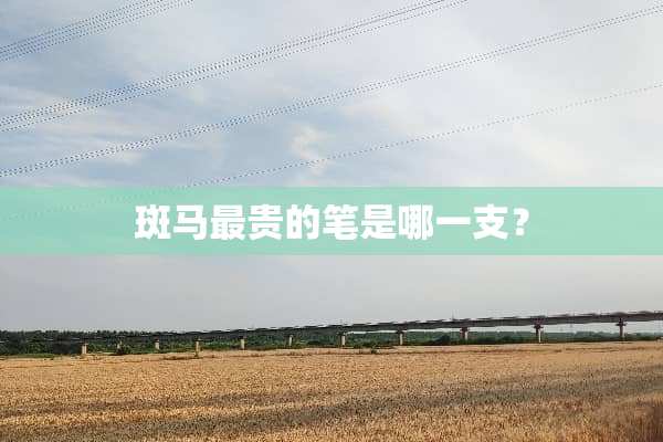 斑马最贵的笔是哪一支？